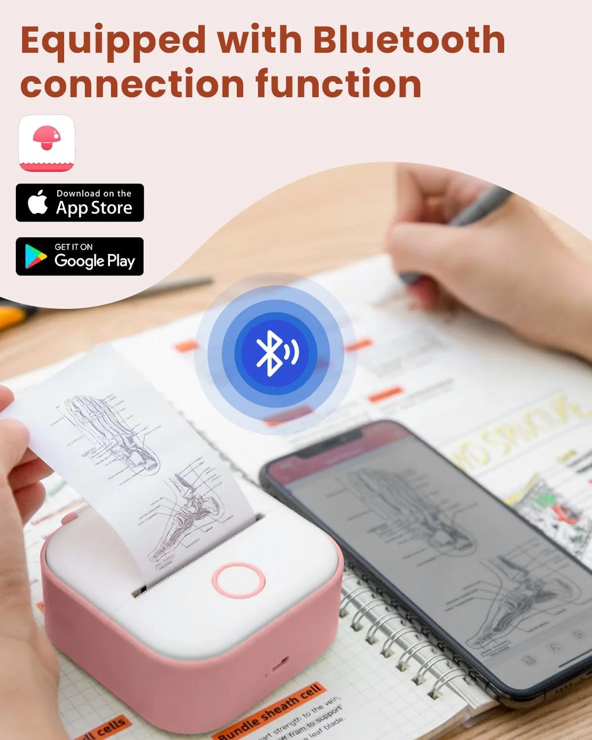 T02 Máquina Portátil Para Hacer Etiquetas, Mini Impresora De Stickers, Máquina Para Hacer Etiquetas Sin Tinta Con Bluetooth, Impresora Móvil Para Notas De Estudio, Regalo Para Niños, Fotos, Diarios, Tareas (Rosa)